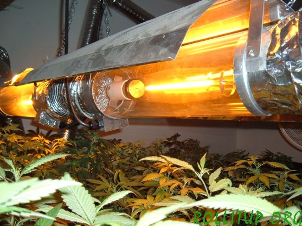 Hydroponics Sodium Lamps